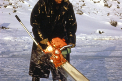 Chainsawing-cove-ice-scaled