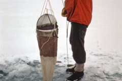 Bailey-AD-Untitled-24-orig-scaled