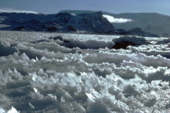 Borge Bay Ice flowers