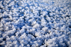 Ice flowers