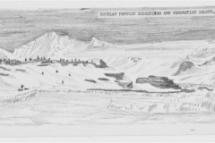 Gourlay-penguin-rookery-Coronation-Is-Nov-1973-scaled