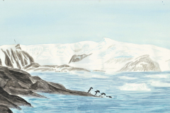 Painting-Robin-Pk-Wave-Pk-Adelies