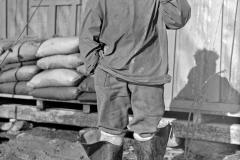 1947_Anderson