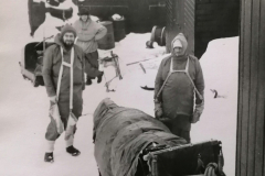 IMG_20210902_130606-scaled