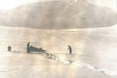 IMG_20210903_090005-scaled