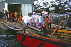 New-Genny-summer-75_Picken-2