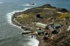 Picken-G-Base-H-in-summer-orig