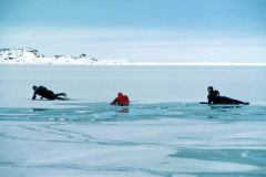 Signy Thin Ice Race - supplied by M Sanders