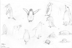 Adelies-Gourlay-17-Oct-1973