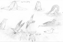 Eles-Adelie-skua