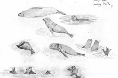 Young-eles-Gourlay-Mar-1974